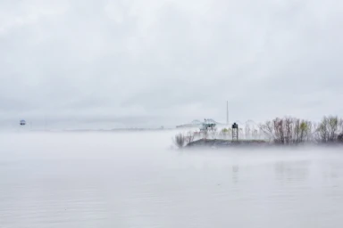 A tranquil river shrouded in heavy morning fog with a small island of bare trees and a distant bridge visible under an overcast sky.