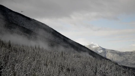 Aerial view of a snow-covered mountain slope with dense pine forest under an overcast sky, captured by Bryce Duffy.