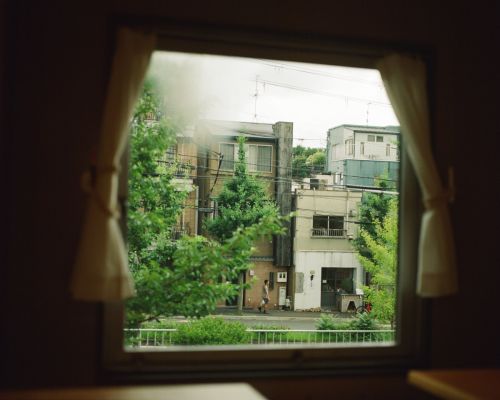 View through a window overlooking a green suburban neighborhood street with houses and trees. One person walks on the sidewalk.