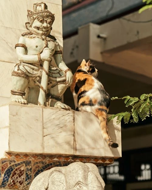 A calico cat sits next to a pale-stone statue of a mythical figure in a sunny, outdoor setting with visible architecture and greenery.