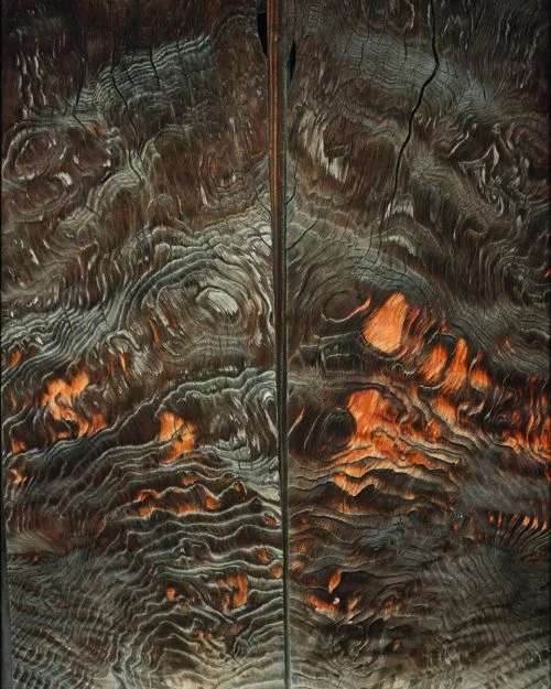 Abstract detail of a rustic wooden surface featuring layered patterns in brown and grey with warm, orange undertones, resembling tree rings.