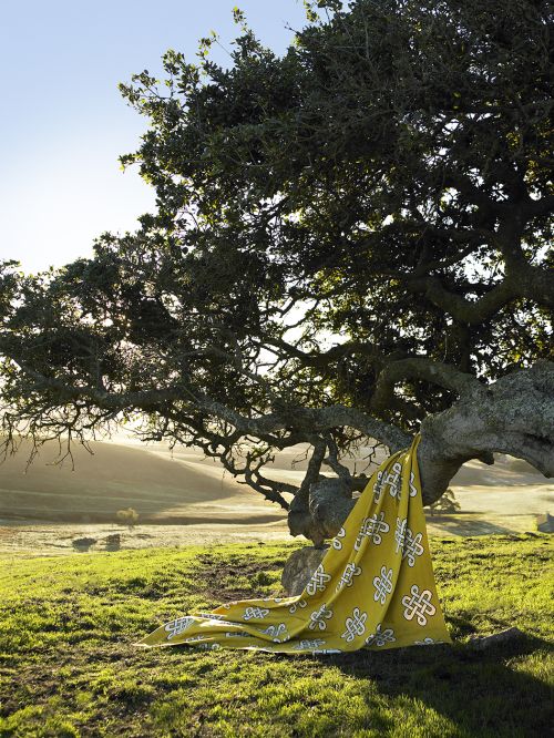 Cloth with pattern draped over tree branch in a grassy field, rural landscape with hills and sky, bright sunny day, green and yellow tones.