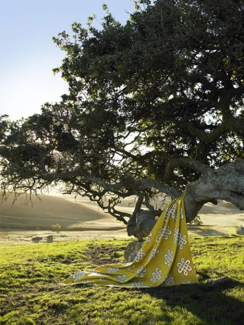 Cloth with pattern draped over tree branch in a grassy field, rural landscape with hills and sky, bright sunny day, green and yellow tones.