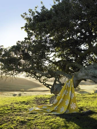 Cloth with pattern draped over tree branch in a grassy field, rural landscape with hills and sky, bright sunny day, green and yellow tones.