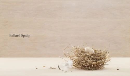Close-up of a bird's nest with a single egg and a small white feather against a light beige background, creating a minimalist composition.