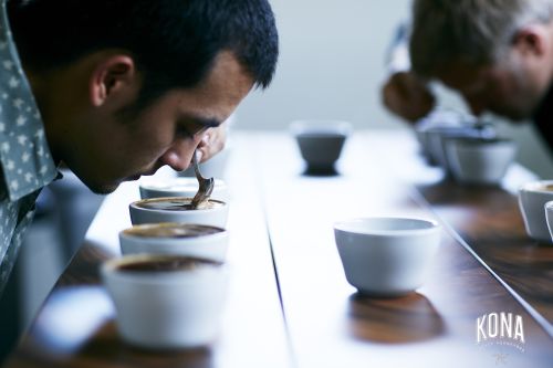 Two adult males smelling coffee from white cups on a table, with Kona Coffee logo on the table's edge; indoor tasting session.
