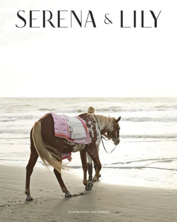 Person walking a brown and white horse along a sandy beach near the ocean
