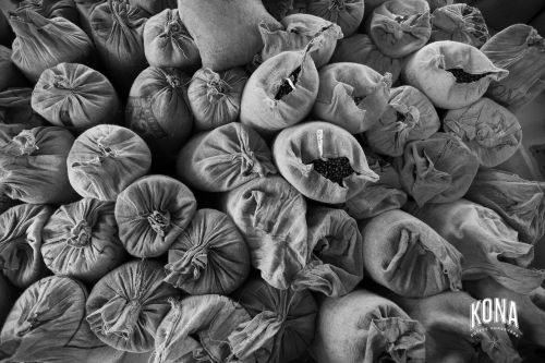 Monochrome close-up displays many cloth sacks filled with Kona coffee beans, stacked, with the Kona Coffee logo in the lower right.