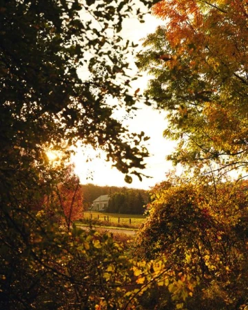 Rural house framed by vibrant autumn foliage, featuring colorful leaves in shades of orange, yellow, red, and green with bright sunlight.