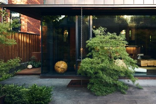 Exterior view of a modern glass-enclosed space with a Japanese maple tree, wooden fence, and a gray stone patio.