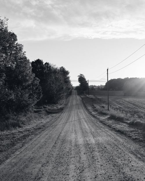 Black and white photograph of a rural dirt road stretching into the distance, lined by trees, beneath an overcast sky.