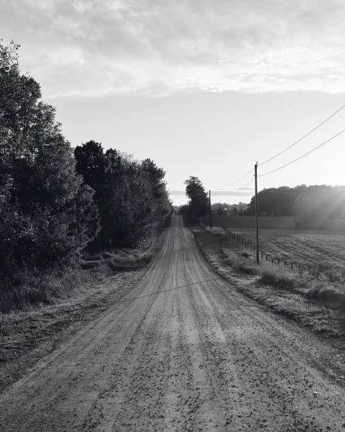 Black and white photograph of a rural dirt road stretching into the distance, lined by trees, beneath an overcast sky.