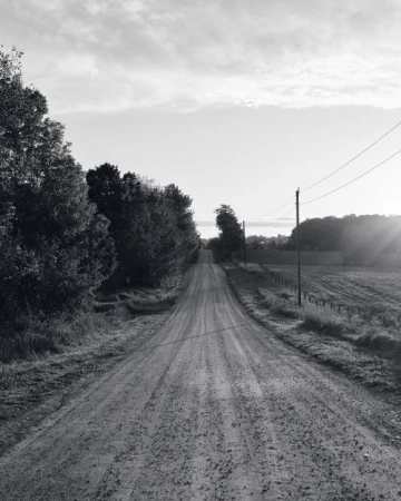 Black and white photograph of a rural dirt road stretching into the distance, lined by trees, beneath an overcast sky.
