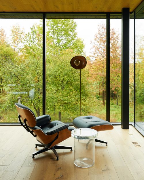 Eames chair and ottoman set in a modern living room, view through large glass windows shows green trees and autumn foliage outside.