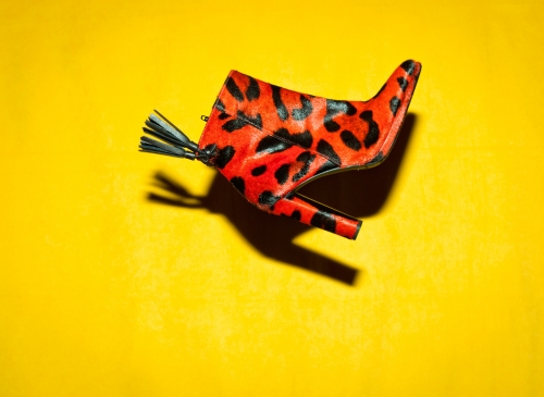 Red and black leopard print heeled ankle boot with tassels on a yellow background in a fashion studio setting.