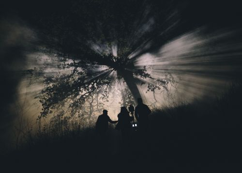 Silhouette of three people under a tree at night, with light rays shining through the branches, creating a dramatic and mysterious atmosphere.