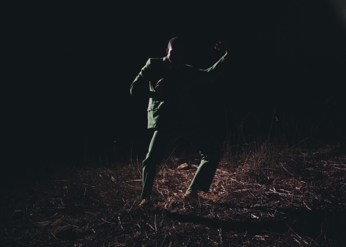 Man in green suit posing in a dimly lit, outdoor environment with sparse ground vegetation and a dark background, creating a dramatic scene.