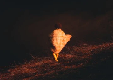 A person seen from behind walking up a grassy hill wearing a textured cream faux fur coat and bright yellow boots.