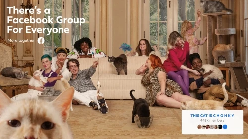 Diverse group of people posing with cats indoors, one cat prominently in foreground, promoting a Facebook group, creating a humorous, inclusive scene.