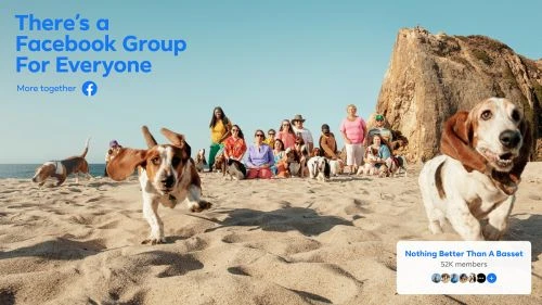 Group of basset hounds and people pose together on a sandy beach with the Facebook Group logo and tagline above them.