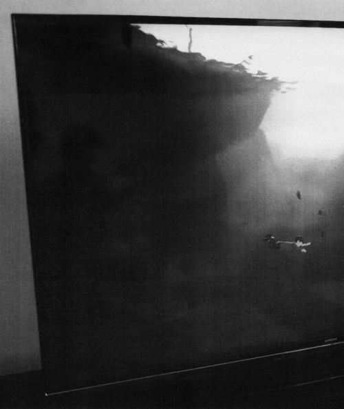 Black and white abstract painting of an underwater scene with visible light and shadows creating a blurred and surreal effect.