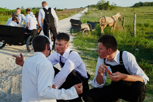 Group of Mennonite men gathered along a rural road, one pointing, with a horse-drawn carriage visible in the background, sunny outdoor setting.