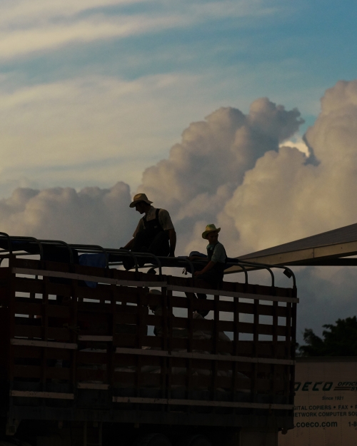 Two adults wearing hats on a truck against a blue sky with clouds, evoking an outdoor work scene with warm tones and a cloudy sky.