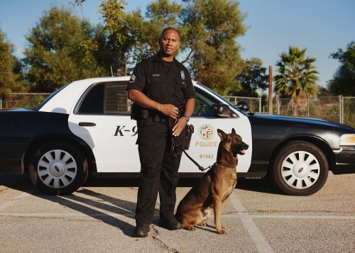 Adult man in police uniform poses with K-9 dog, outdoors near car. Law enforcement officer standing next to canine partner.
