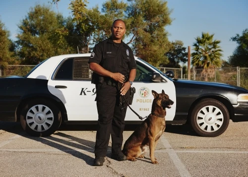 Adult man in police uniform poses with K-9 dog, outdoors near car. Law enforcement officer standing next to canine partner.