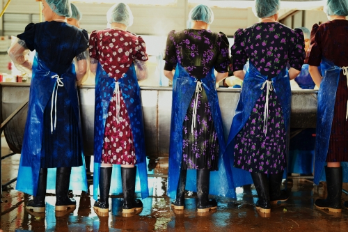 Line of women in colorful floral dresses, plastic aprons, hairnets, and black boots standing indoors, possibly in a food processing area.