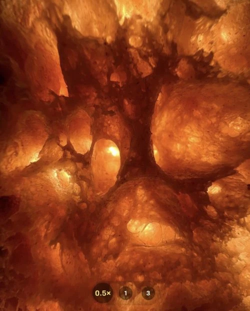 Intricate cell-like structure with warm, orange hues, creating an abstract and organic visual pattern, enhanced by soft, diffused lighting.