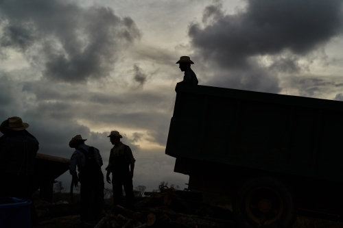 Silhouette of four farmers standing near a tractor and trailer against a cloudy sky at dusk, wearing hats and working in a rural environment.