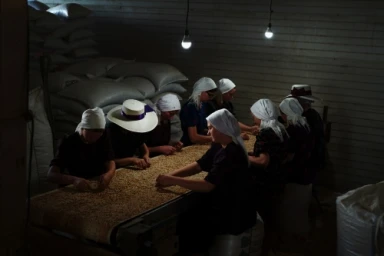 Group of women wearing headscarves sorting coffee beans along a long table under hanging lightbulbs inside a dim warehouse.