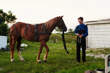 A man in dark overalls and blue shirt holding the reins of a large brown harnessed horse outdoors.