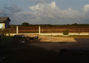 A horse and carriage parked in a dirt yard with a chain link fence under a partly cloudy sky.