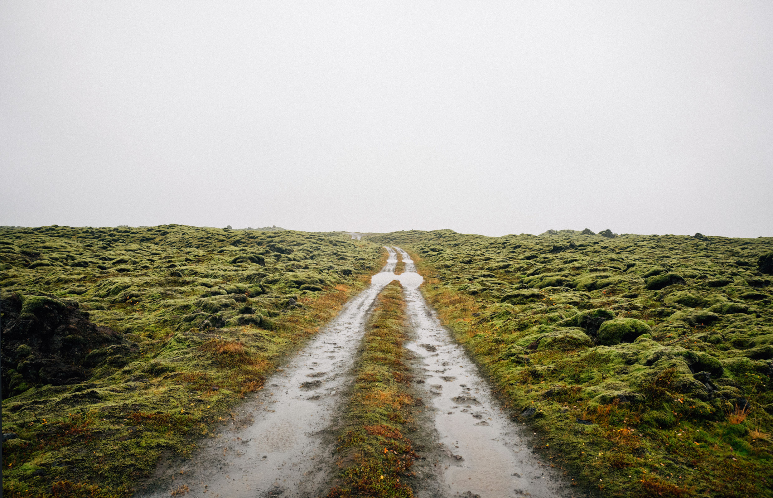 Wet dirt road stretches through a mossy field under an overcast sky, creating a serene yet rugged landscape view.
