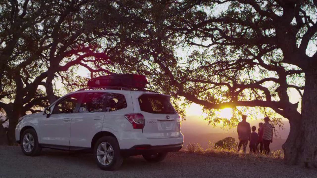 White SUV with roof rack parked near group of people watching sunset amidst trees, creating a scenic outdoor moment.