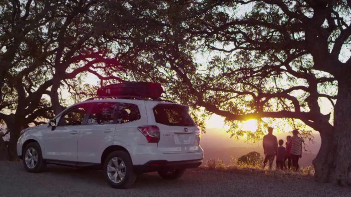 White SUV with roof rack parked near group of people watching sunset amidst trees, creating a scenic outdoor moment.