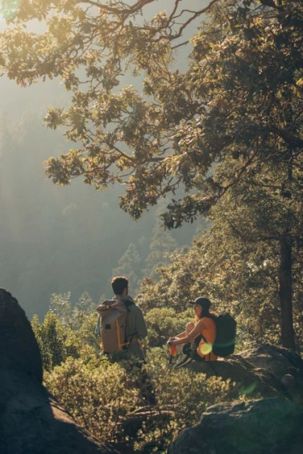 Two hikers pause on a rock outcrop in a lush green forest landscape, backpacks visible, bathed in soft, golden light filtering through trees.