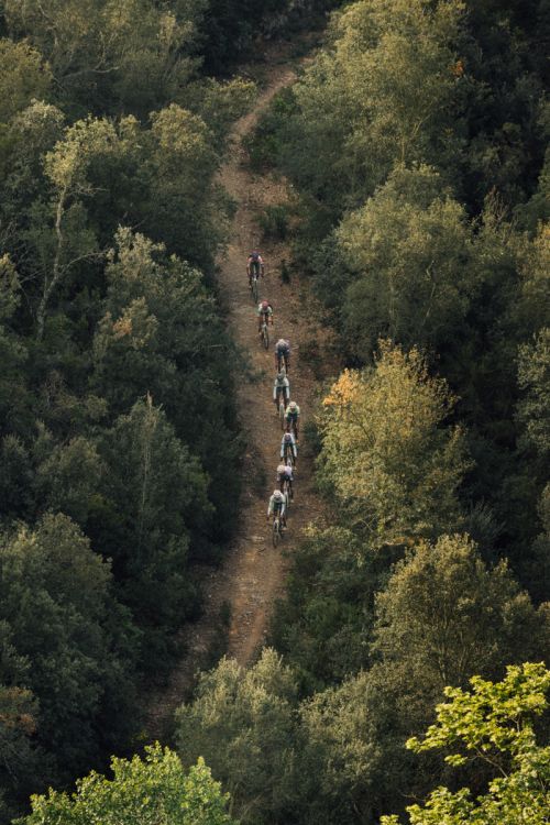 A group of cyclists ride along a dirt trail through a dense green forest, captured from a high-angle, showcasing an outdoor sports scene.