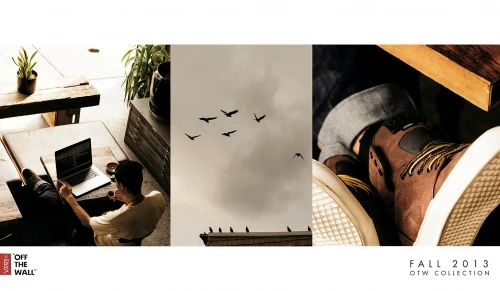 Triptych layout showing a person working on a laptop, flying birds, and a close-up of brown boots