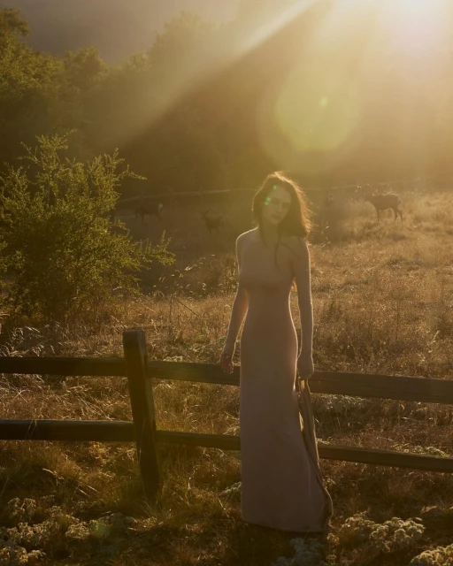 Woman in a long dress stands by a wooden fence in a sunlit field, with grazing deer and trees visible in the misty background.