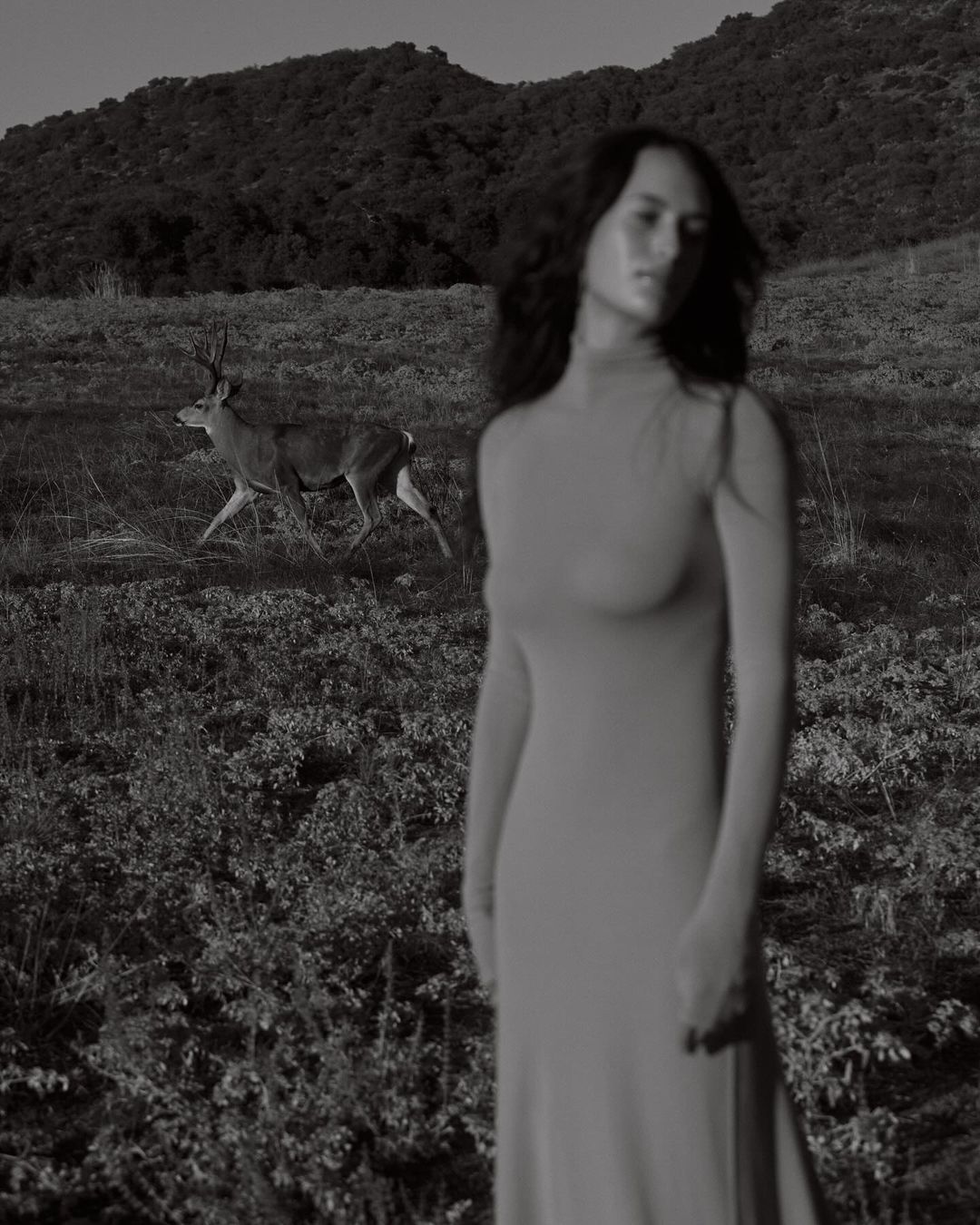 Monochrome portrait of a woman in a long dress standing in a field with a deer walking in the background.