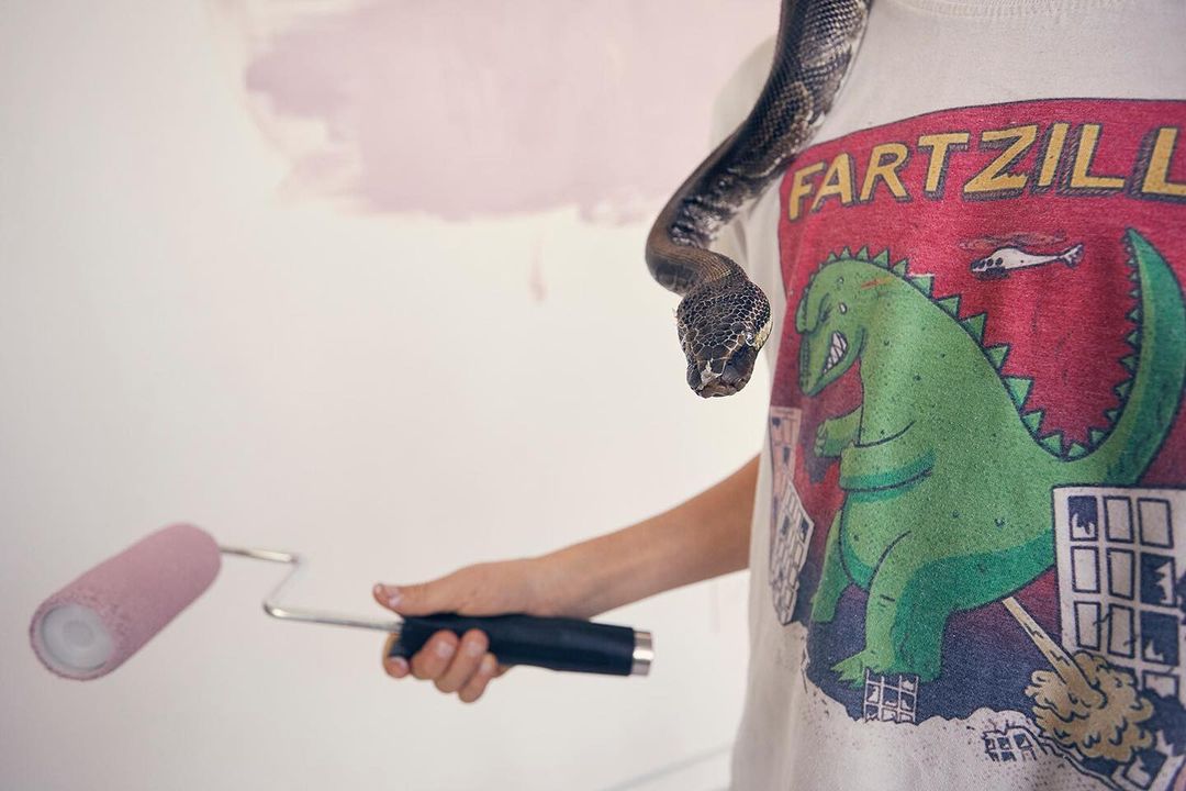 Person with a pet snake around their neck, holding a paint roller, and standing in front of a partially painted wall.