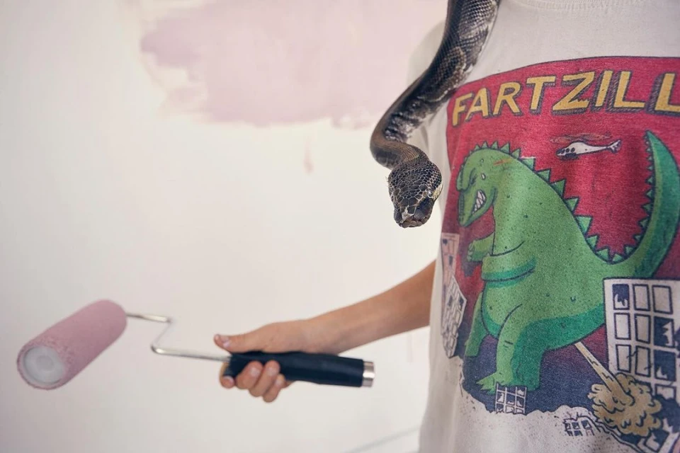 Person with a pet snake around their neck, holding a paint roller, and standing in front of a partially painted wall.