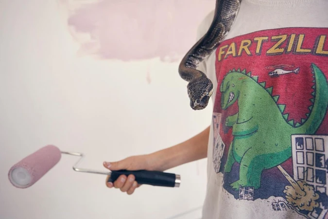 Person with a pet snake around their neck, holding a paint roller, and standing in front of a partially painted wall.