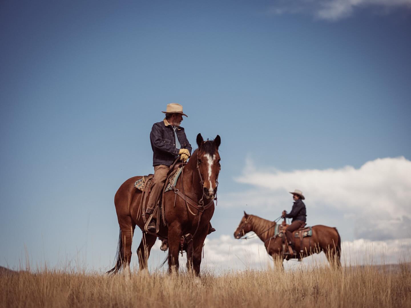Two riders on horseback in an open field with a blue sky, one in the foreground and another farther back, under the daylight.