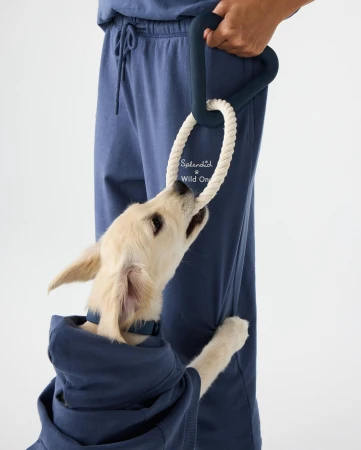 Blonde puppy wearing blue hoodie, playing tug-of-war with a blue rope toy, held by an adult wearing blue sweatpants, against white background.