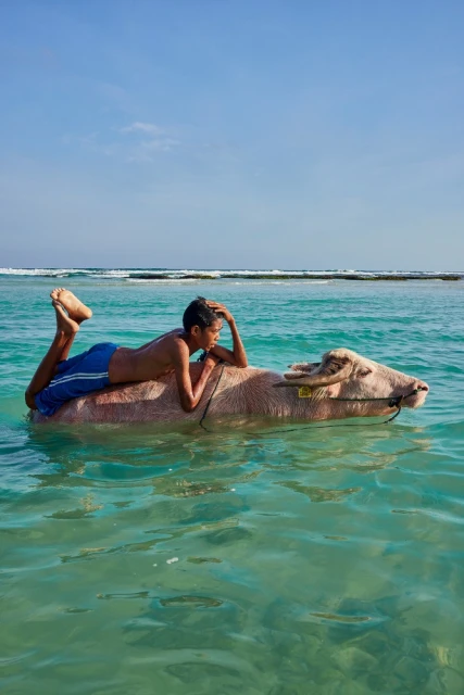 Young person lying on a white water buffalo in the ocean with clear turquoise water and a horizon line in the distance.