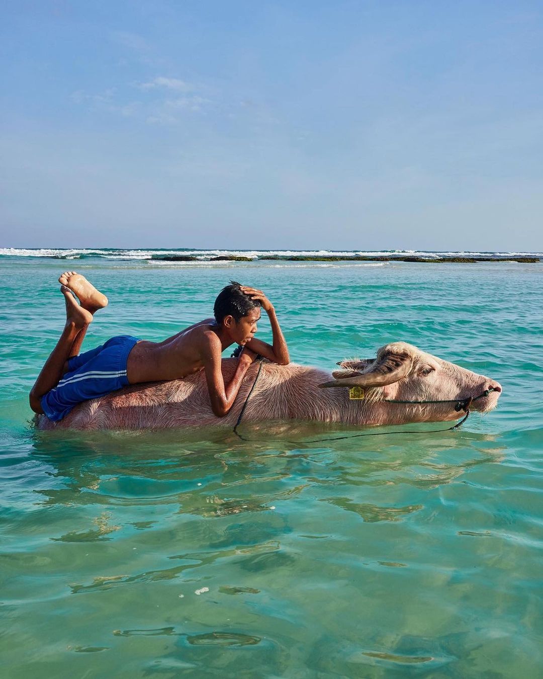 Young boy rests on the back of a water buffalo wading through shallow, clear ocean water under a blue sky on a sunny day.